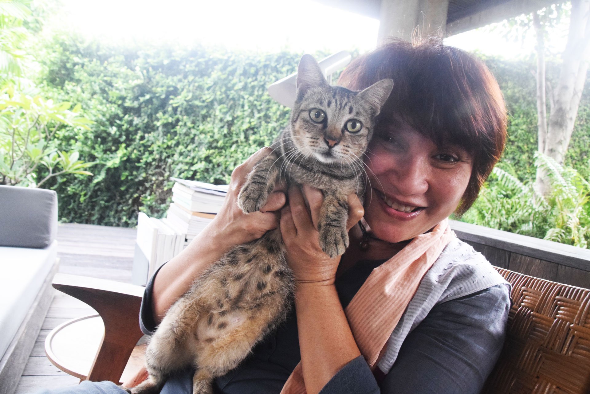 Menengok Rumah Kucing Garong, untuk Pecinta Kucing Liar