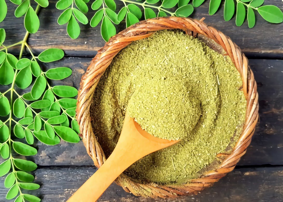 Daun Kelor, Superfood Lokal Yang Kaya Manfaat