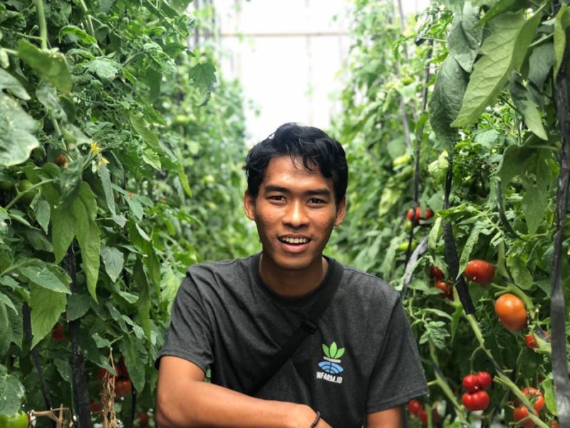 Dewa Wiradipta