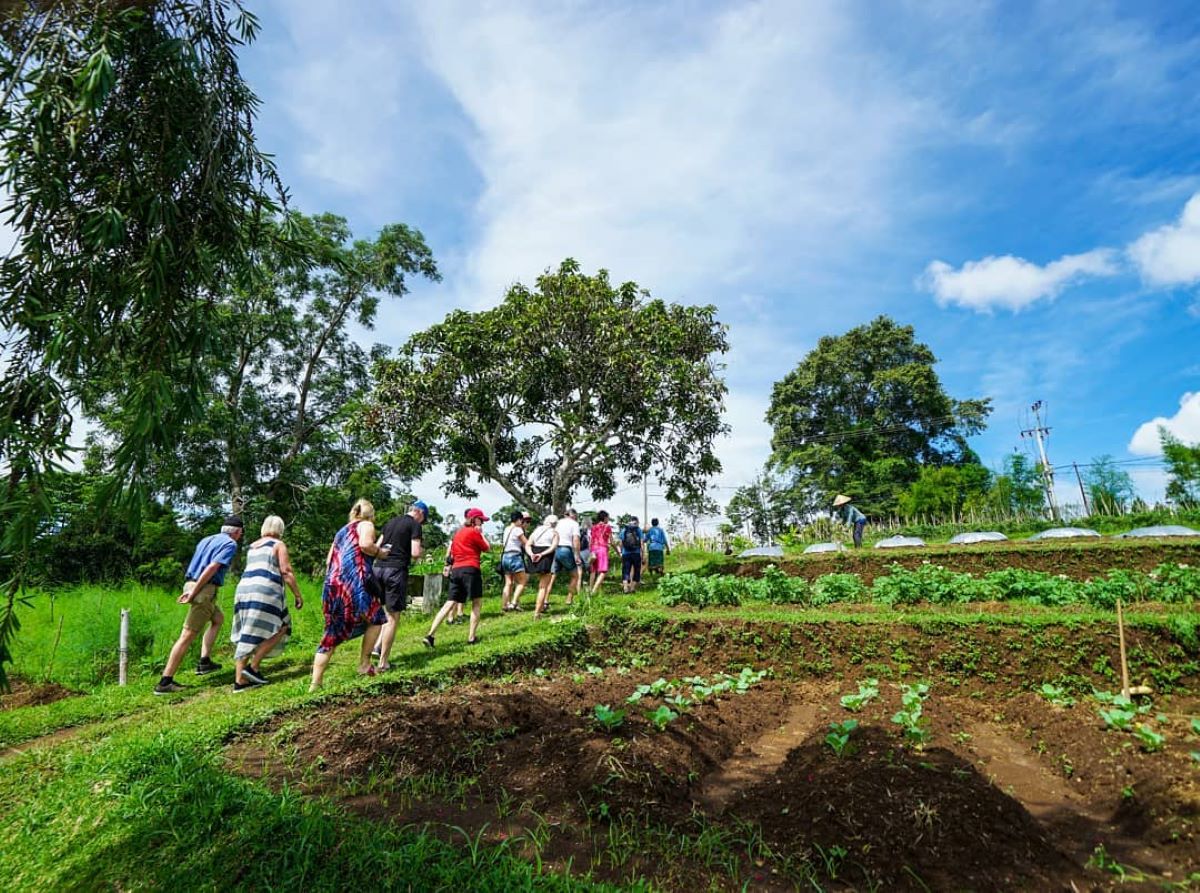 Cuci Mata Setelah Lama #dirumahaja, Yuk Kunjungi 5 Agrowisata Ini!