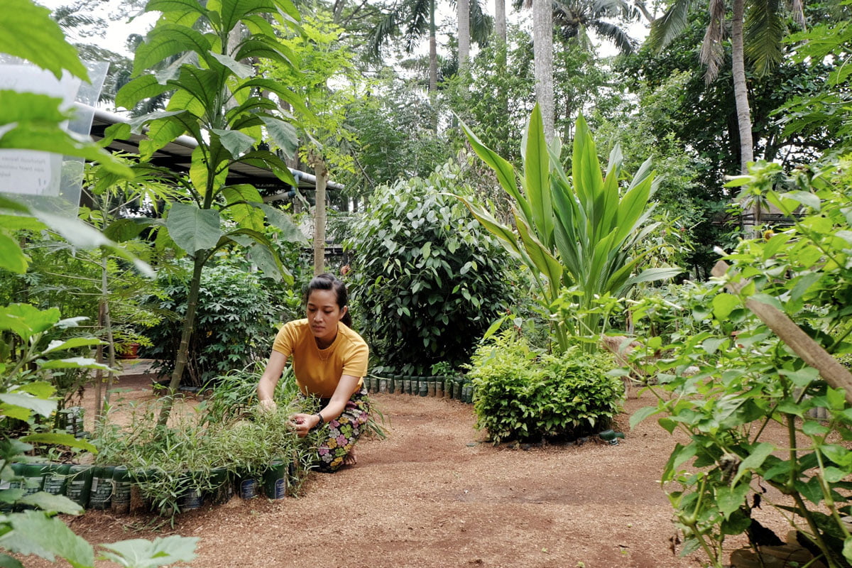 Kebun Kumara, Misi Siti Soraya Cassandra Bantu Orang Kota Berinteraksi Dengan Alam