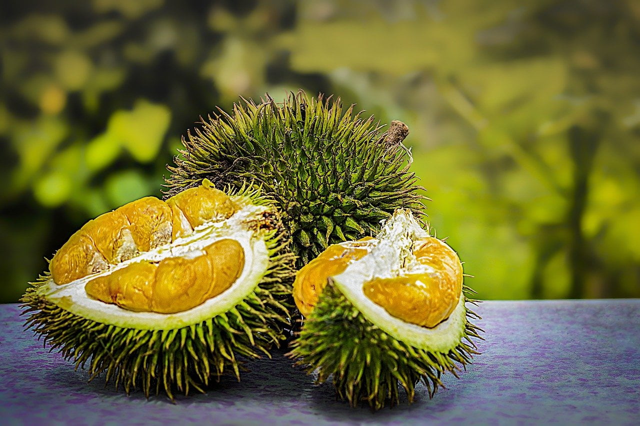 Jangan Salahkan Durian! Ini Fakta Kalau Durian Kaya Manfaat Buat Kesehatan
