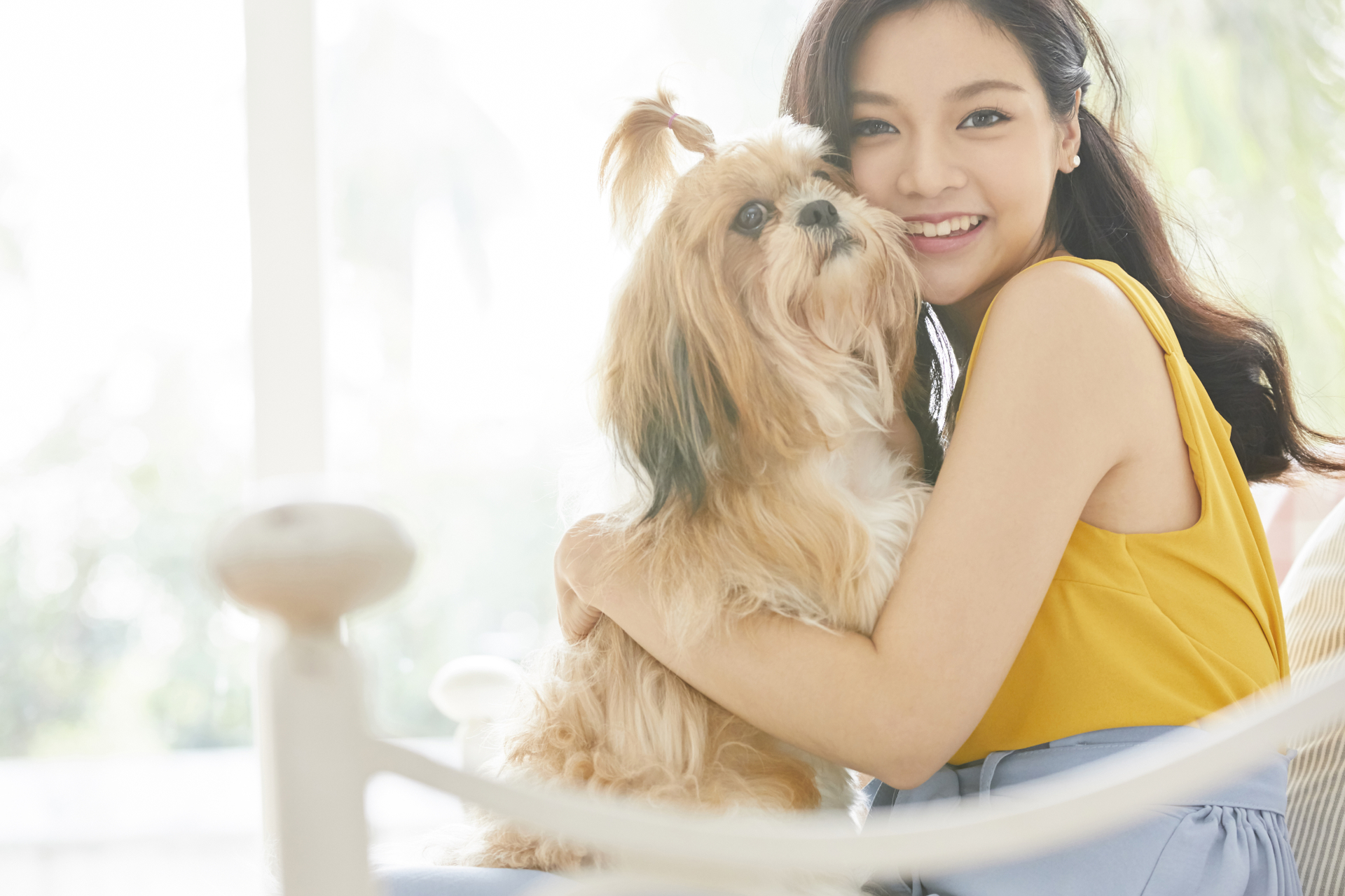 anjing buat kesehatan