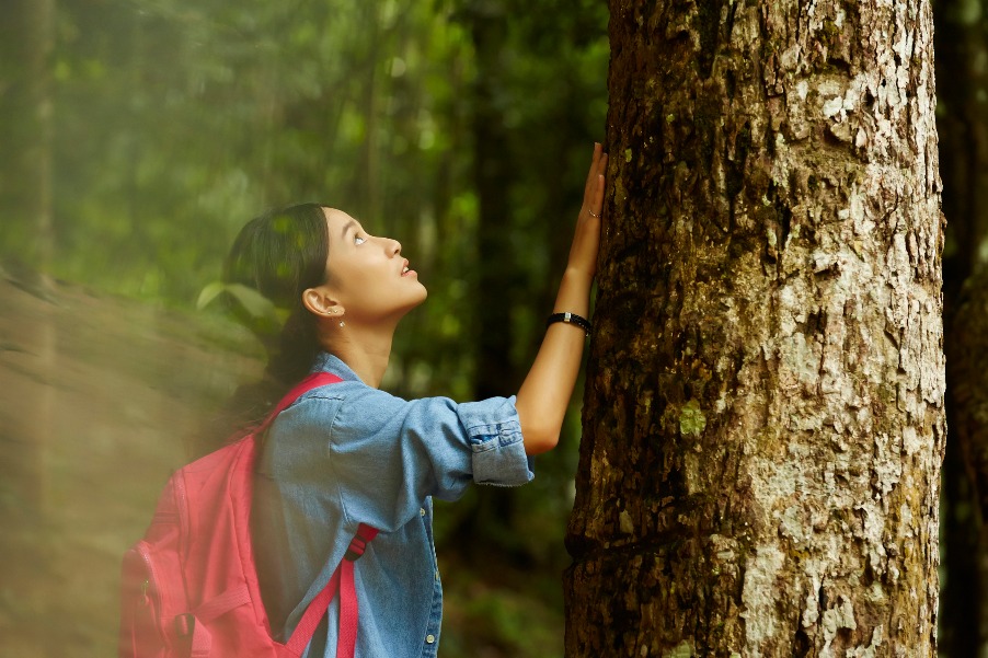 Forest Bathing, Jalan-Jalan ke Hutan yang Bermanfaat Bagi Kesehatan
