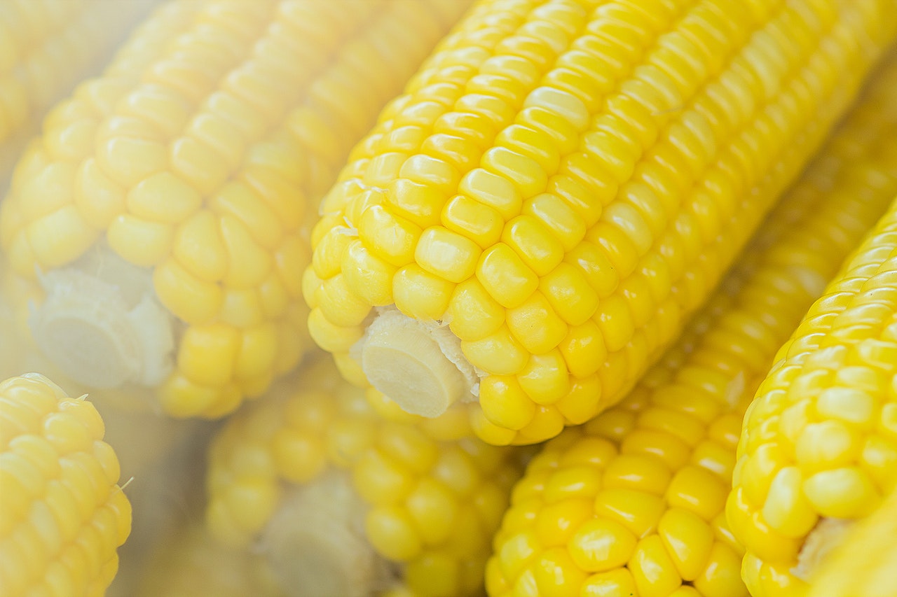 jagung rebus