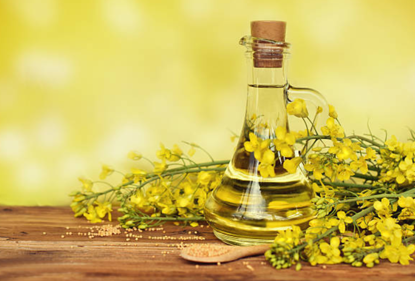 Termasuk Minyak Goreng Sehat, Ini Kandungan Nutrisi dan Manfaat Minyak Canola
