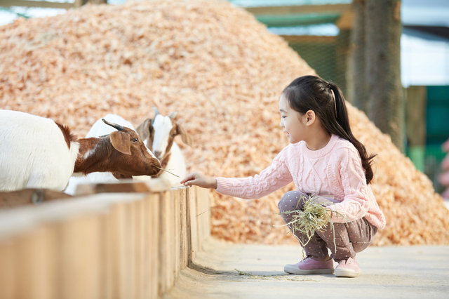 Tak Hanya Bermain, Ternyata ini Manfaat Kunjungi Kebun Binatang Buat si Kecil