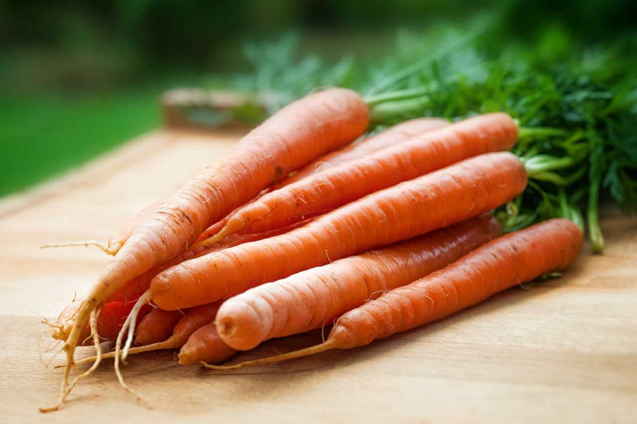 Selain Wortel, Makanan ini Juga Bagus untuk Kesehatan Mata
