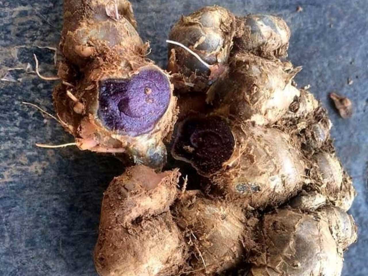 kunyit makanan sehat