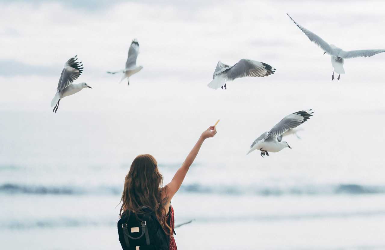 Benarkah Bird Watching Bisa Redakan Stres?